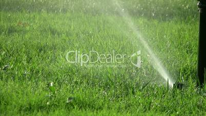 Sprinklers in the garden