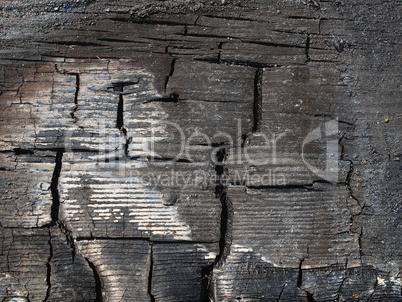 Burned wood