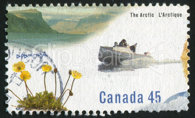 postage stamp