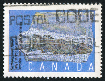 postage stamp