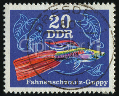 postage stamp