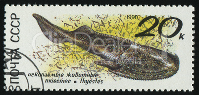 postage stamp