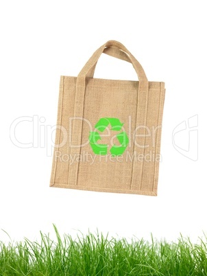 Reusable Shopping Bag