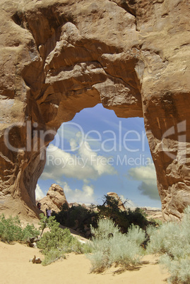 Nature of Arches National Park