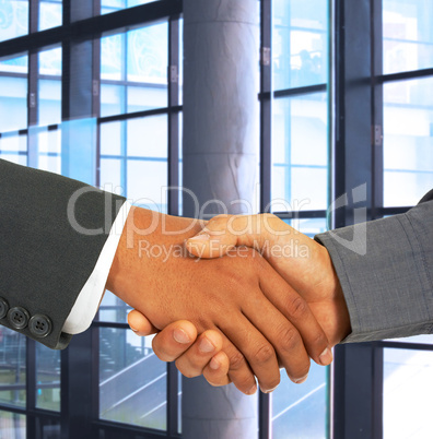 Shaking Hands To Seal An Agreement