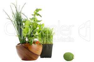 Healthy Green Food