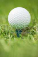 Detail of golfball on tee, concept photography