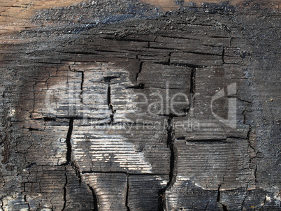 Burned wood