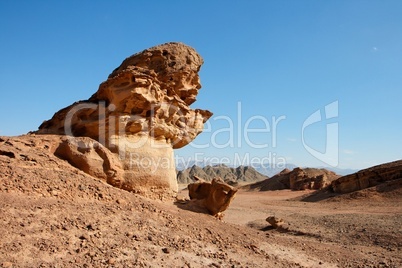 Scenic orange rock in shape of mushroom in stone desert