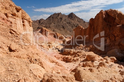 Gorge in the rocky desert