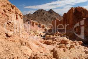 Gorge in the rocky desert