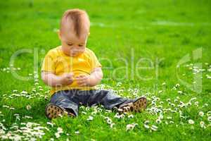 Little boy is sitting on green meadow