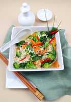 Asian Noodle Vegetarian Soup