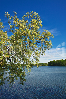 Feldberger Seenlandschaft