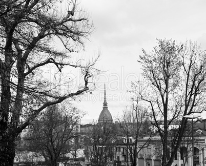 Turin view