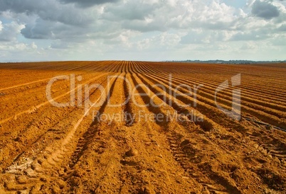 Orange plowed field in perspective in cloudy day