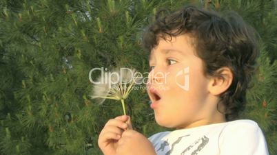 Little boy blowing a dandelion