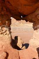 Window in the orange sandstone rock in desert