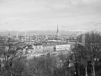 Turin view