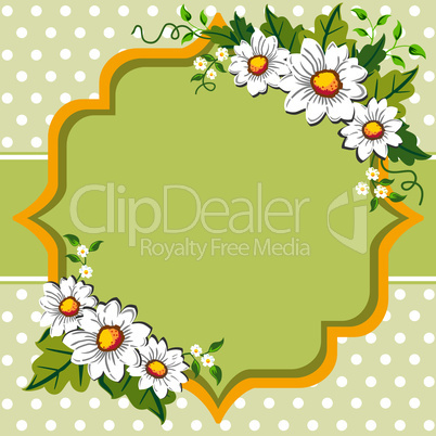 Spring daisy flower frame