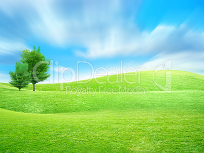 sky and grass