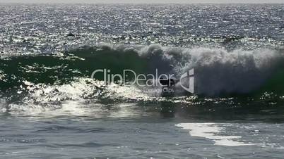 Body boarder riding a big wave