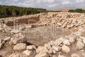 Excavations of the ancient temple
