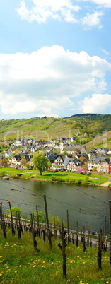 Reil an der Mosel