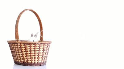 White rabbit moves in basket