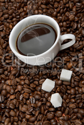 Coffee cup with sugar on roasted beans