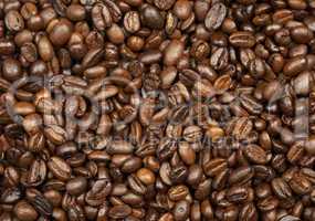 Coffee roasted beans