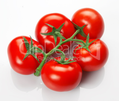 Red fresh tomatoes