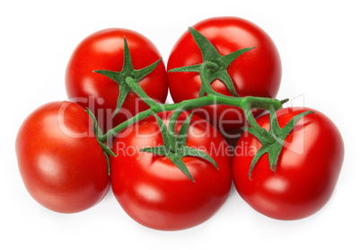 Red fresh tomatoes