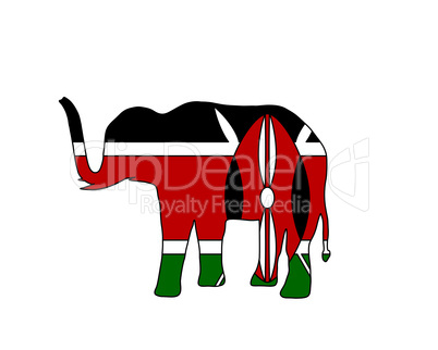 Elefant Kenia