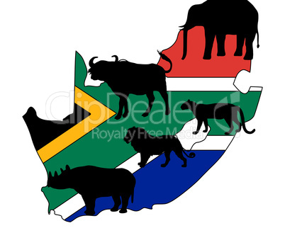 "Big Five" Südafrika