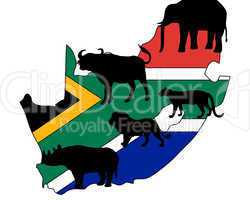 "Big Five" Südafrika