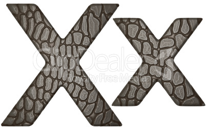 Alligator skin font X lowercase and capital letters