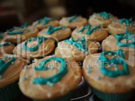 blue cupcake