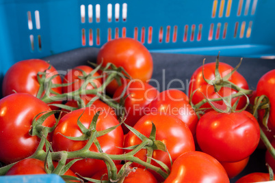 Tomaten