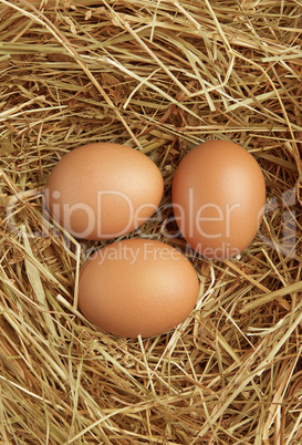 Three eggs in nest