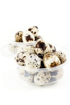 Quail eggs