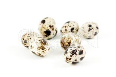 Quail eggs