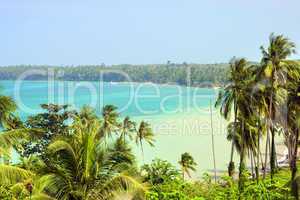 Tropical Coastline Scenery