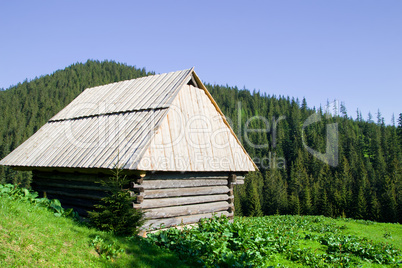 Wooden Hut in the Tatra Mountains