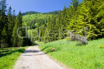 Tatra Mountains in Poland