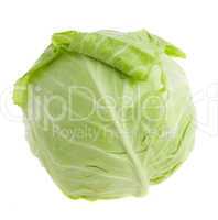 head of cabbage