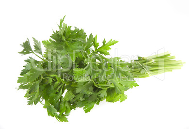 parsley