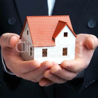 The house in a hand