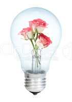 Electrobulb with a bunch of rose