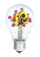 Electrobulb with a bunch of flowers on a white background